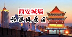 大美女抽插动态视频中国陕西-西安城墙旅游风景区